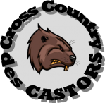 Fond castor